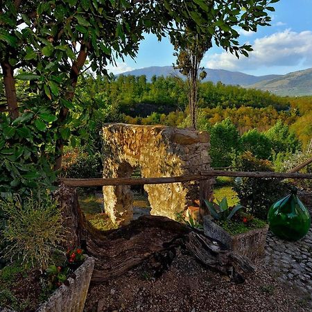 Tenuta Di Vico Moricino Anagni Eksteriør billede