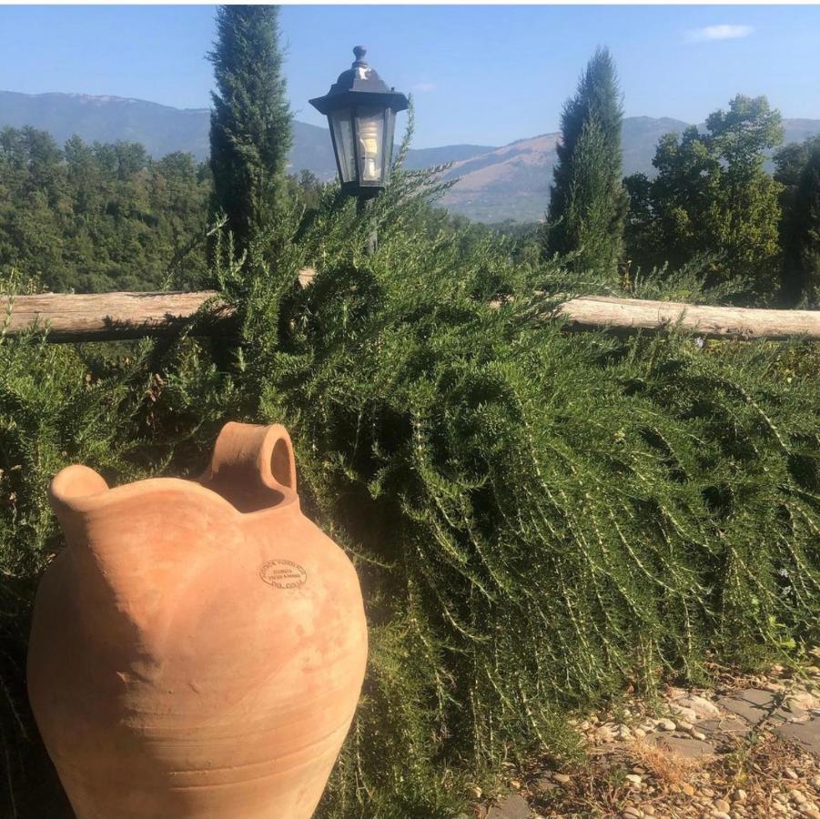 Tenuta Di Vico Moricino Anagni Eksteriør billede