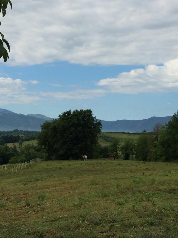 Tenuta Di Vico Moricino Anagni Værelse billede