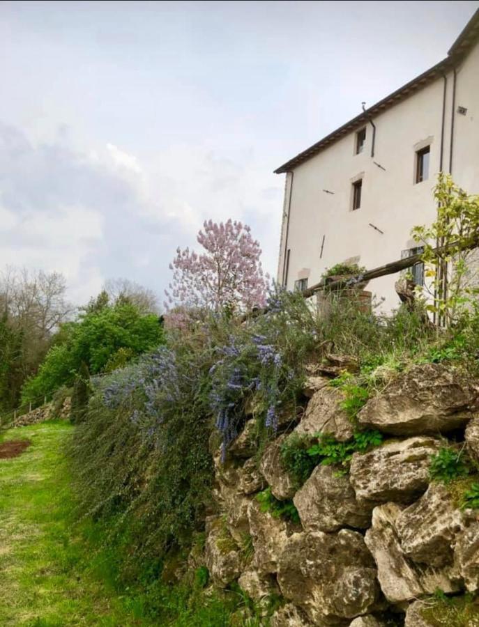 Tenuta Di Vico Moricino Anagni Eksteriør billede