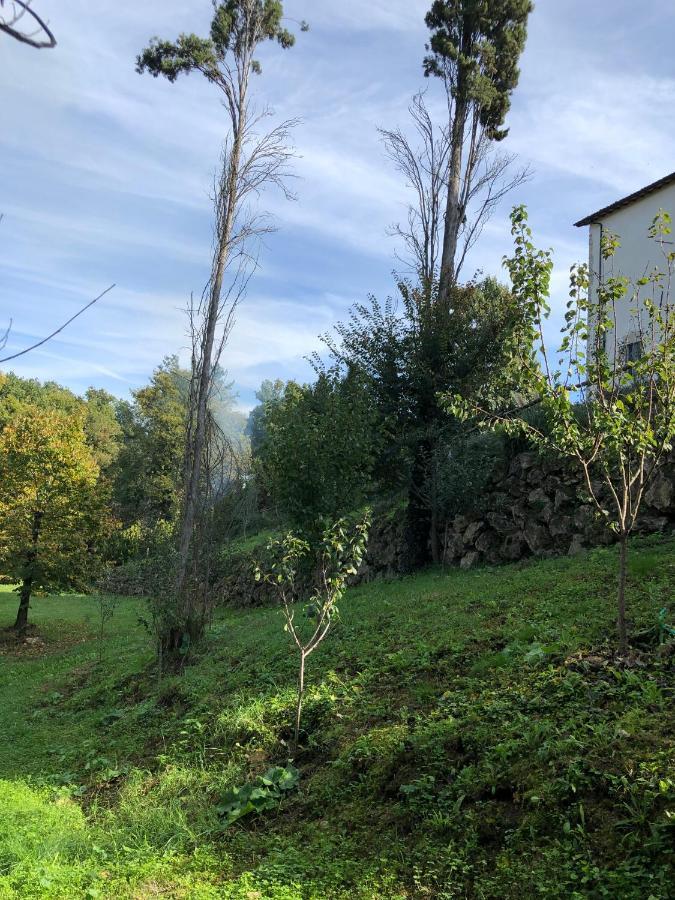 Tenuta Di Vico Moricino Anagni Eksteriør billede